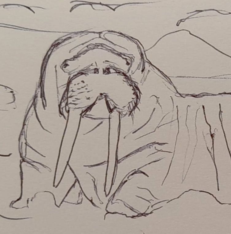 Animali archetipi. Taccuino.