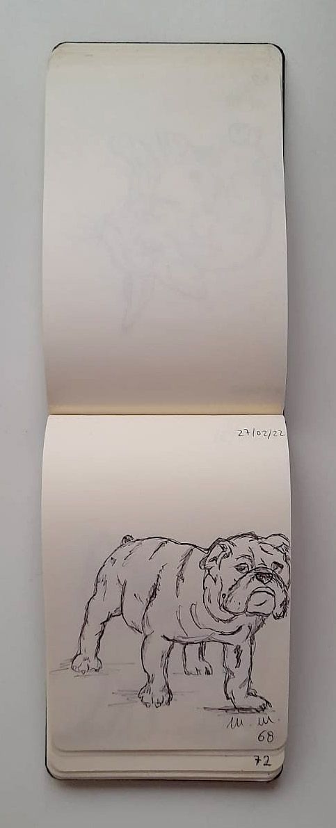 Animali archetipi. Taccuino.