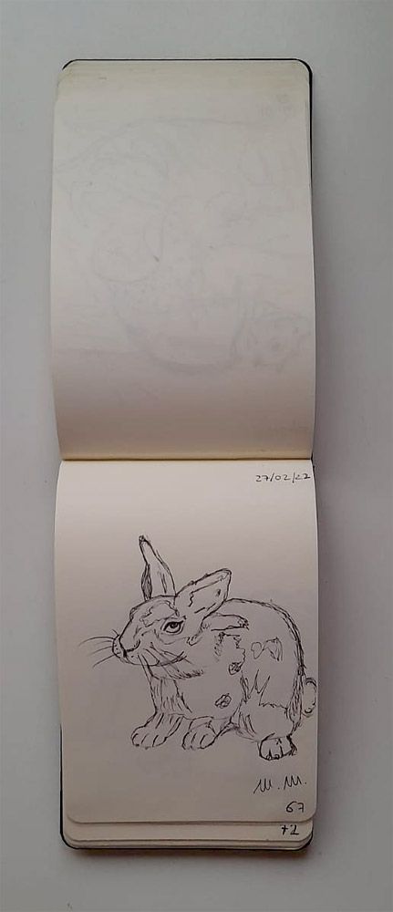 Animali archetipi. Taccuino.