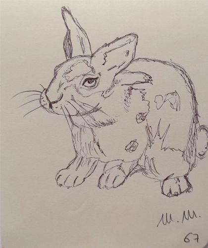 Animali archetipi. Taccuino.