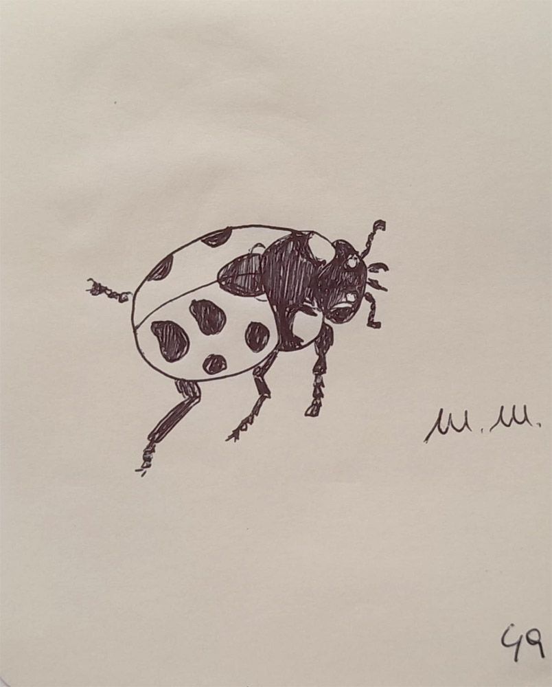 Animali archetipi. Taccuino.