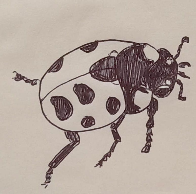 Animali archetipi. Taccuino.