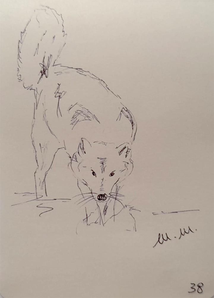 Animali archetipi. Taccuino.