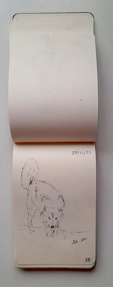 Animali archetipi. Taccuino.