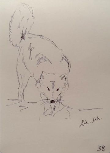 Animali archetipi. Taccuino.