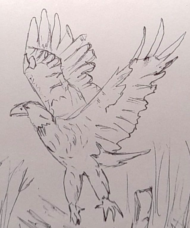 Animali archetipi. Taccuino.