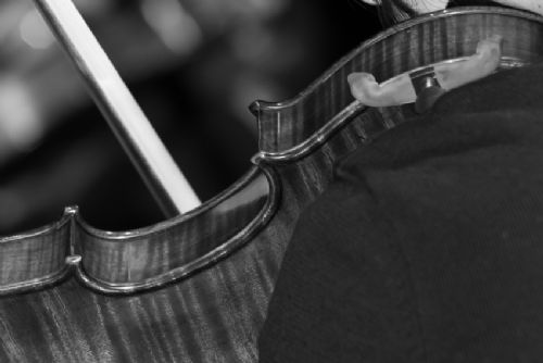 Sogni di Corte, Palazzo Reale-Napoli