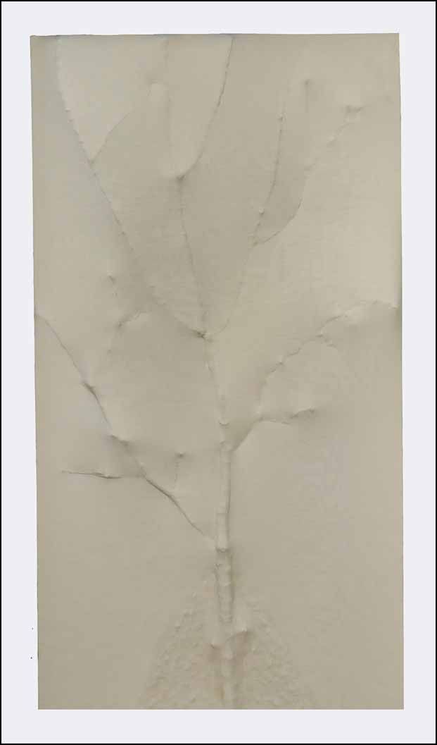 Germinazione
